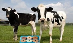 ��������ڷ�ۻ������ι�е����ü�����������שѹ���