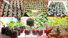 �������ʲô���������ʹ�ã�